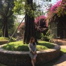 한교농장 | [방콕+파타야] 2일차. 알카자쇼 악어녹장 워킹스트리트 야시장을 가보다!