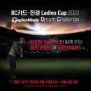 드림메이드 - 동구 | 드림메이드