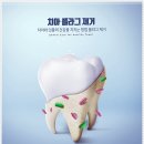 서울마음치과의원 네이버블로그