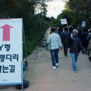 5 한탄강 Y형출렁다리, 전망대 이미지