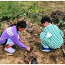 윤하농장 이미지