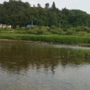 금빛펜션한반도 이미지