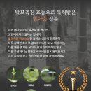 비원가발