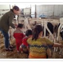 건우목장 이미지