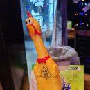 바로닭발 이미지