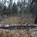 신하농장 이미지