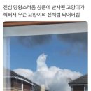 비바리움파크가