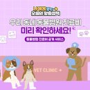 오늘동물병원 이미지