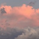 동검낚시터 이미지