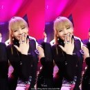 채리니 Daum카페