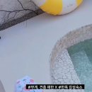 미미몽몽
