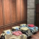 아크로타워 내 B동 | 페코의 첫 생일잔치 결정! 소규모 안양돌잔치 파티엘하우스 계약후기