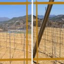 명성2농장 이미지