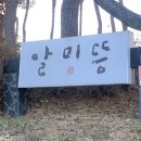 하신유통 | 청도 찜질방 알미뜽 평일방문후기 대구 근교 갈만한 곳