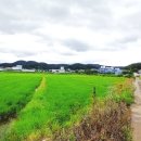 부곡리부동산공인중개사사무소 이미지