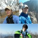 젠틀매니아