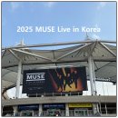 (주)플러그인티 | 2025 뮤즈 내한공연 Muse live in Korea 지정석 P석 후기