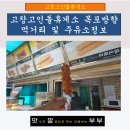 고창고인돌(목포) 이미지