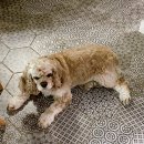 올데이올가닉 이미지