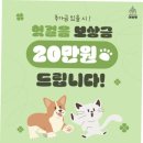 반려동물과함께하는#설렘 이미지