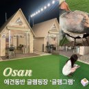 글램그램 | 오산 글램핑장 글램그램 후기｜애견 동반 가능! 가족·커플·친구 여행에 딱