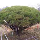 낭산농장 이미지