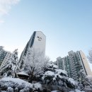 분당-334 이미지