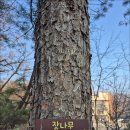 광명누리길 1코스 | 광명누리길 1.2코스 역방향 트레킹!![광명시 보건소~구름산 산림욕장~금뎅이광장~가리대광장~영회원...