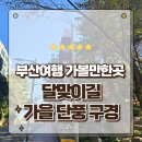 달맞이길 | 부산여행 가볼만한곳 해운대 달맞이길 단풍 산책 후기 11월 10일