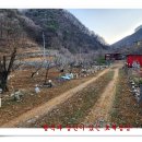 효세농장 이미지