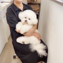 The 사랑할개(더사랑할개) 이미지