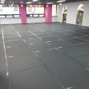 플레이독애견카페 이미지