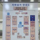 여의도 음식백화점 횟집 추천 초장집에서 막회 먹고온 후기