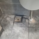 솔내음 파비르 이미지