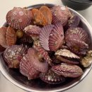 반송동106 | 동탄 반송동 맛집 동타낭 해물닭매운탕과 오픈 이벤트 9900원 가리비찜 후기