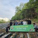 북내면행정복지센터 이미지