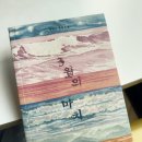 영동세탁소 | Onion hot sale