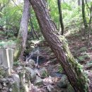 숲길농원 이미지