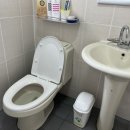 안면애견펜션프리독 이미지