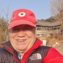 내삼포 Daum카페