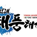 용인대 태풍 태권도장 이미지