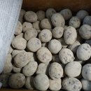 미영농장 이미지