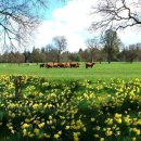 경구농장 이미지