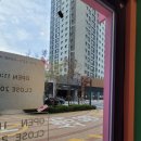 슈비듀밥 이미지