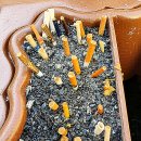 동해-단속-35 이미지