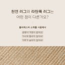 스타일수 이미지