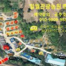 일월관광농원캠핑 이미지