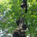 신암모터스 이미지