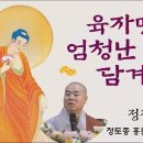 다른 부처님의 명호를 부르는 것도 역시 과지의 공덕인가 -그럴 순 없습니다 왜냐하면 이런 부처님들은 본원을 발하지 않았기 때문입니다 이미지