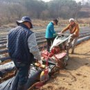 농지조성 이미지